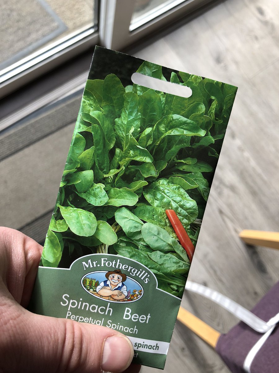CllrOBrien's tweet photo. Learning a new skill as part of the  #DLSCPE challenge. I am not green fingered so I’m learning how to grow my grow my own vegetables!! https://t.co/Cwc2vEyywi