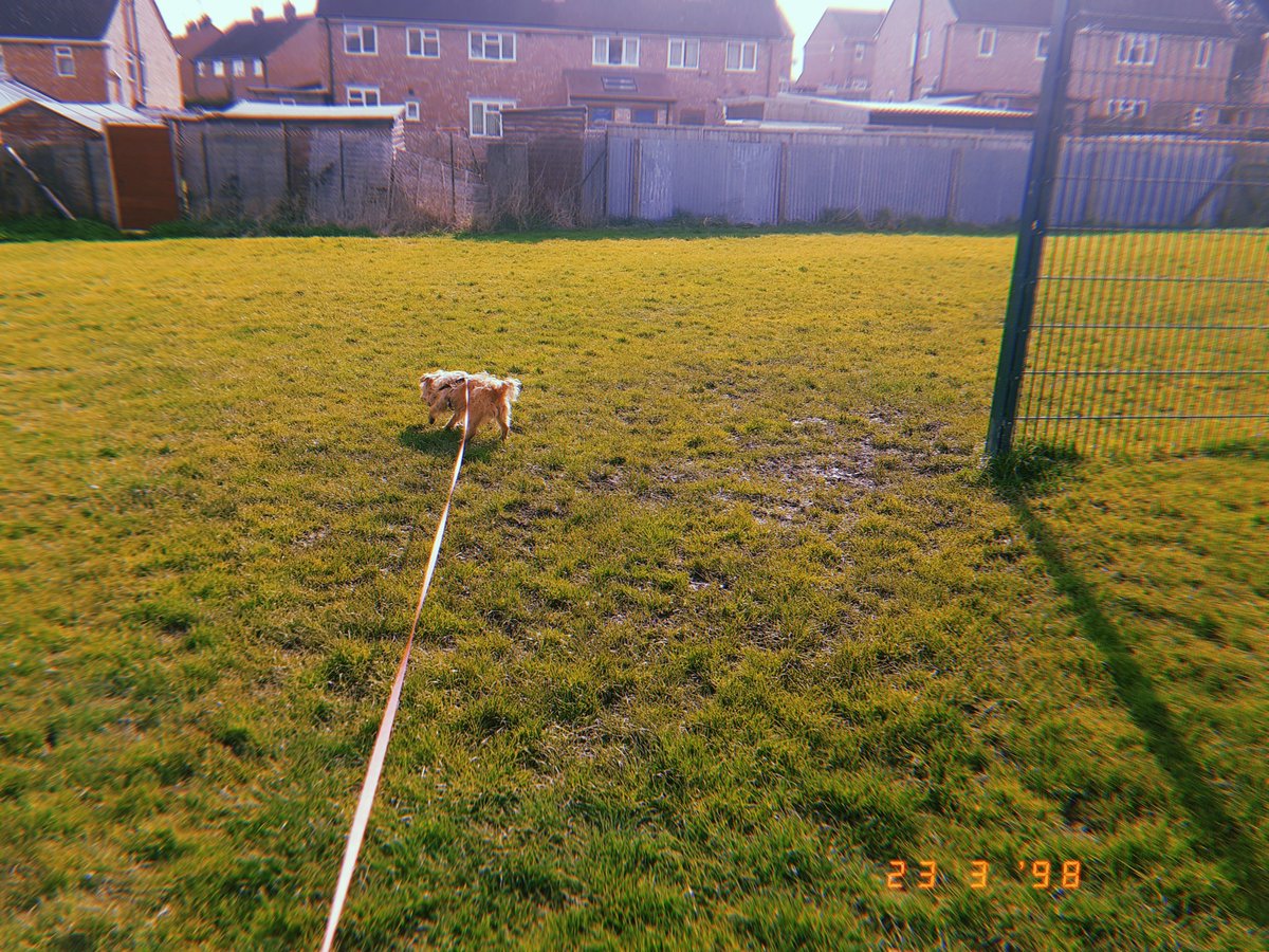 archie_see's tweet photo. Out for our morning walk. 
A big thank you to everyone who has shared and donated so far. 
Though £250 is only a small step toward our goal, it is a step nonetheless. Please keep sharing and if possible donating! https://t.co/Wa3VRvEB5L