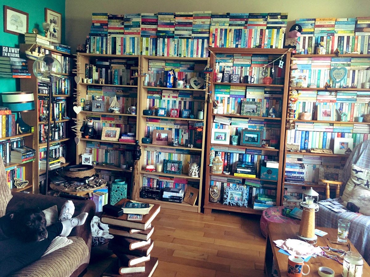 📚Susie P📚🌲 tweet media