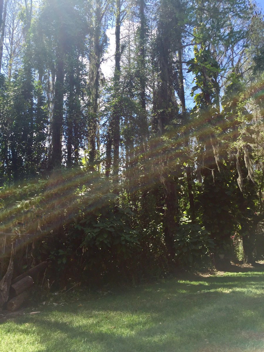 angelsofcancer's tweet photo. #vitaminD #SocialDistancing #caronavirusoutbreak #peace #love #everythingwillbeok #followtherules https://t.co/7Er3nfXSWm