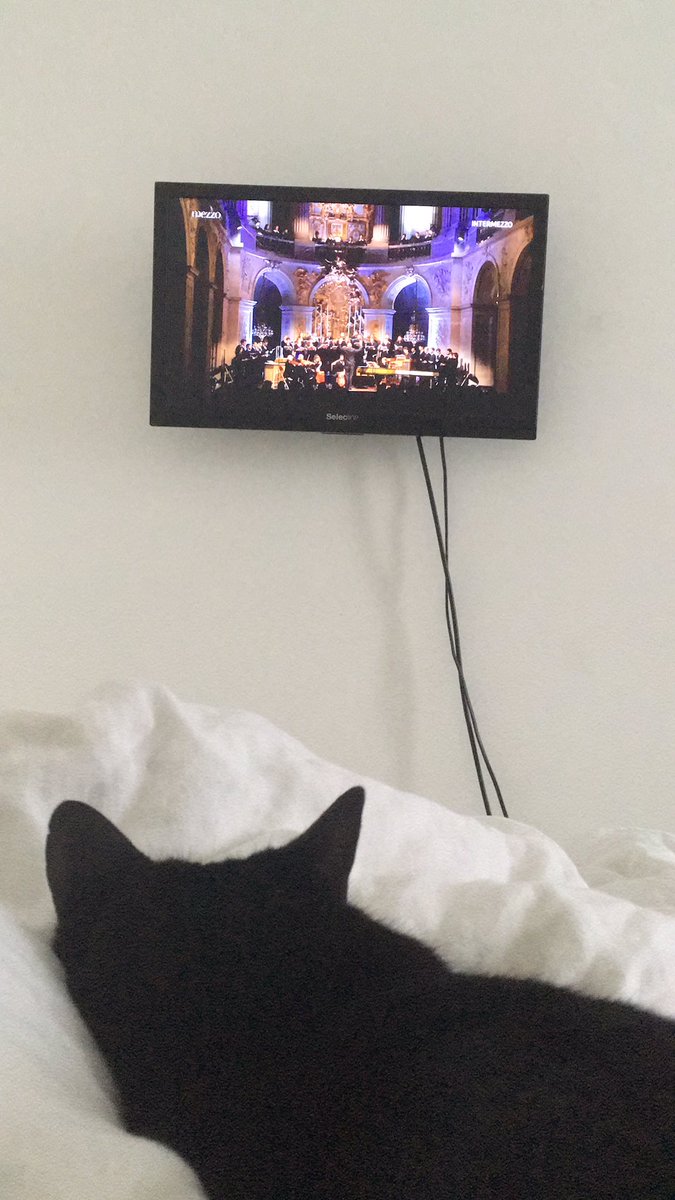 ameliegrataloup's tweet photo. Mezzo with my go https://t.co/KBt3qmSKd8
