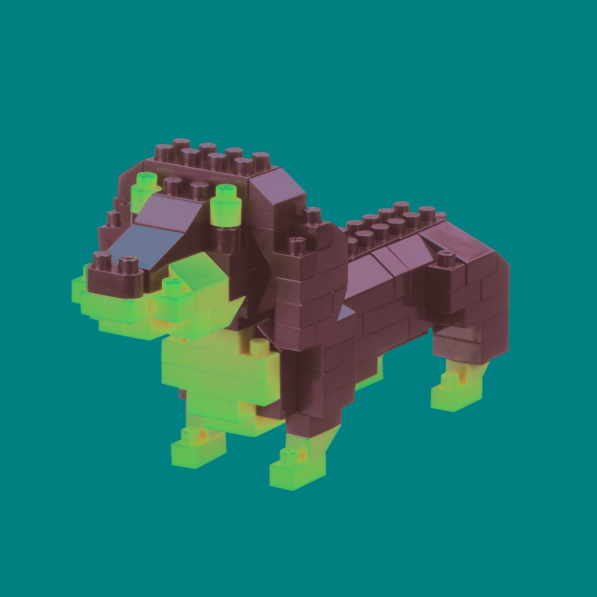 Stuck inside on a day like today? Why not try completing a Nanoblock set? 

Keep an eye out on our page too as we will be having giveaways and competitions.

#quarantine #dog #food #drink #socialdistancing #giveaway #competition #hobbies  #StayAtHomeSaveLives #monday #motivation