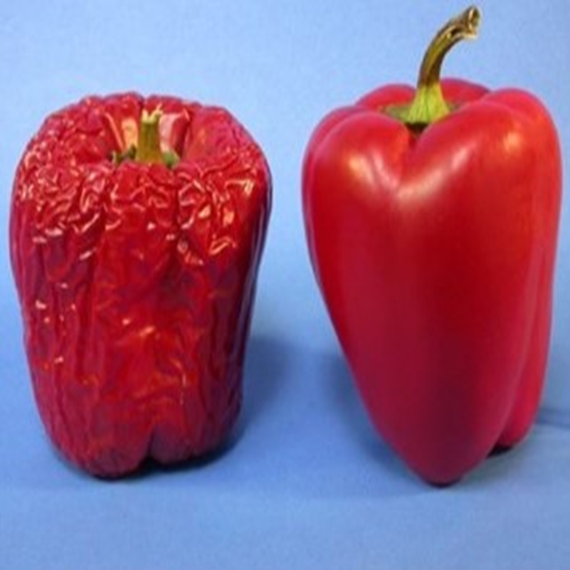 Invisible #packaging: Sufresca eyes fresh produce #edible coatings commercialization
ow.ly/b1kD50yPL3G