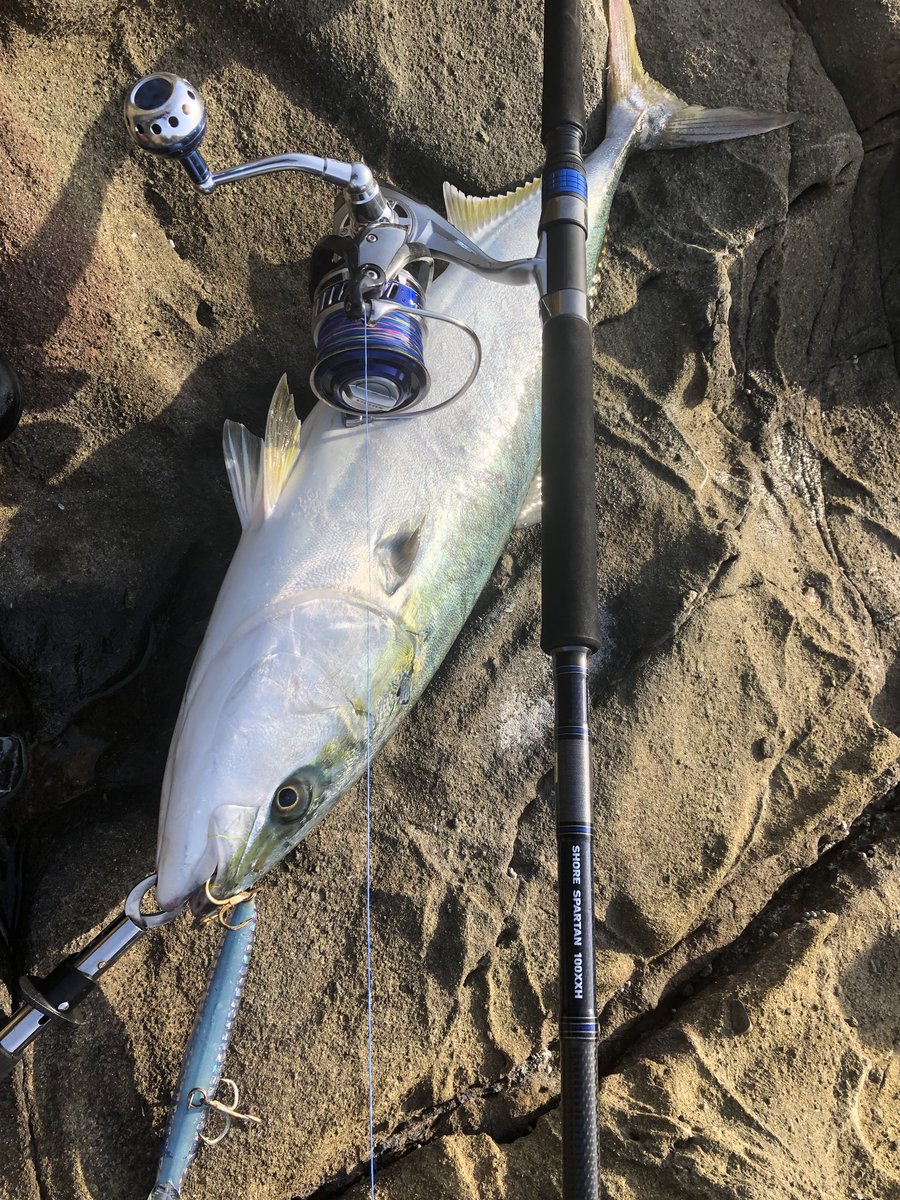 ショアスパルタン100xxh