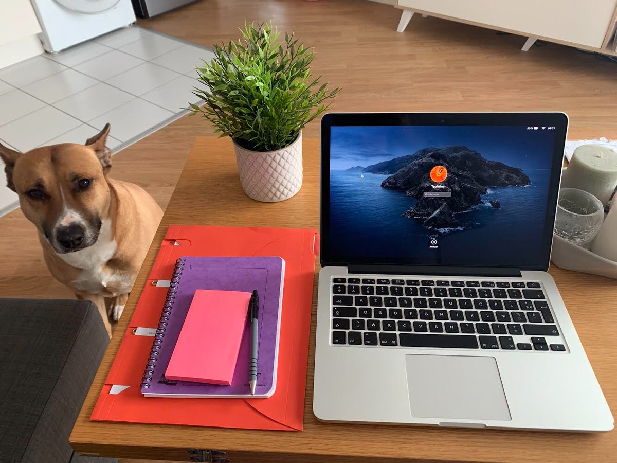 Il y a ceux au bureau bien rangé, ceux qui passent leurs «call» au soleil et ceux qui ont un assistant qui a du chien... et toujours avec le même objectif : être là pour vous !

Nous vous souhaitons beaucoup de courage et vous apportons tout notre soutien.
 
La team <a href="/EMBIX4Cities/">EMBIX</a>