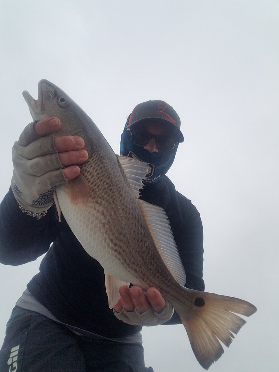 Jon Kohr (@crawbug) on Twitter photo Wasn't exactly what I was fishing for but a nice surprise all the same! Hit like a bass. Fought like a bass. You'd think it was a bass. @smokehds3 <a href="/QuantumFishing/">Quantum Fishing Reel</a> <a href="/QuantumTackle/">Quantum Fishing</a> Wasn't exactly what I was fishing for but a nice surprise all the same! Hit like a bass. Fought like a bass. You'd think it was a bass. @smokehds3 <a href="/QuantumFishing/">Quantum Fishing Reel</a> <a href="/QuantumTackle/">Quantum Fishing</a>