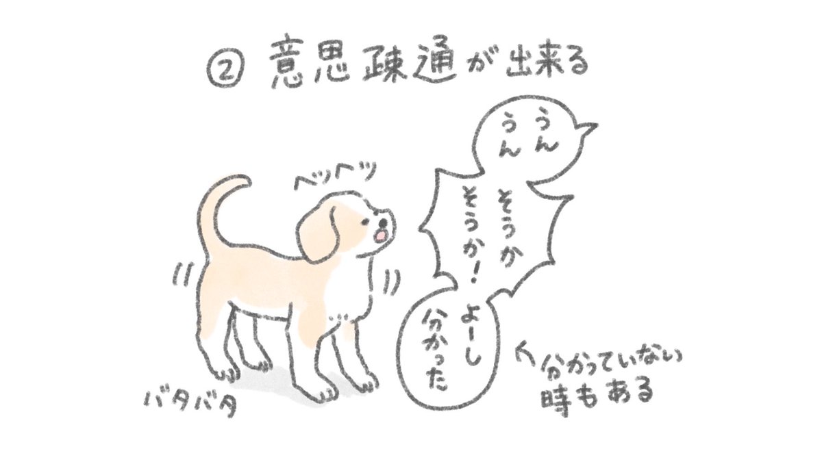 愛犬家にありがちなこと② 