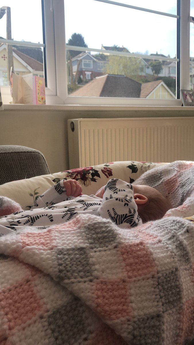 There’s a new addition in our house! #9weeksold