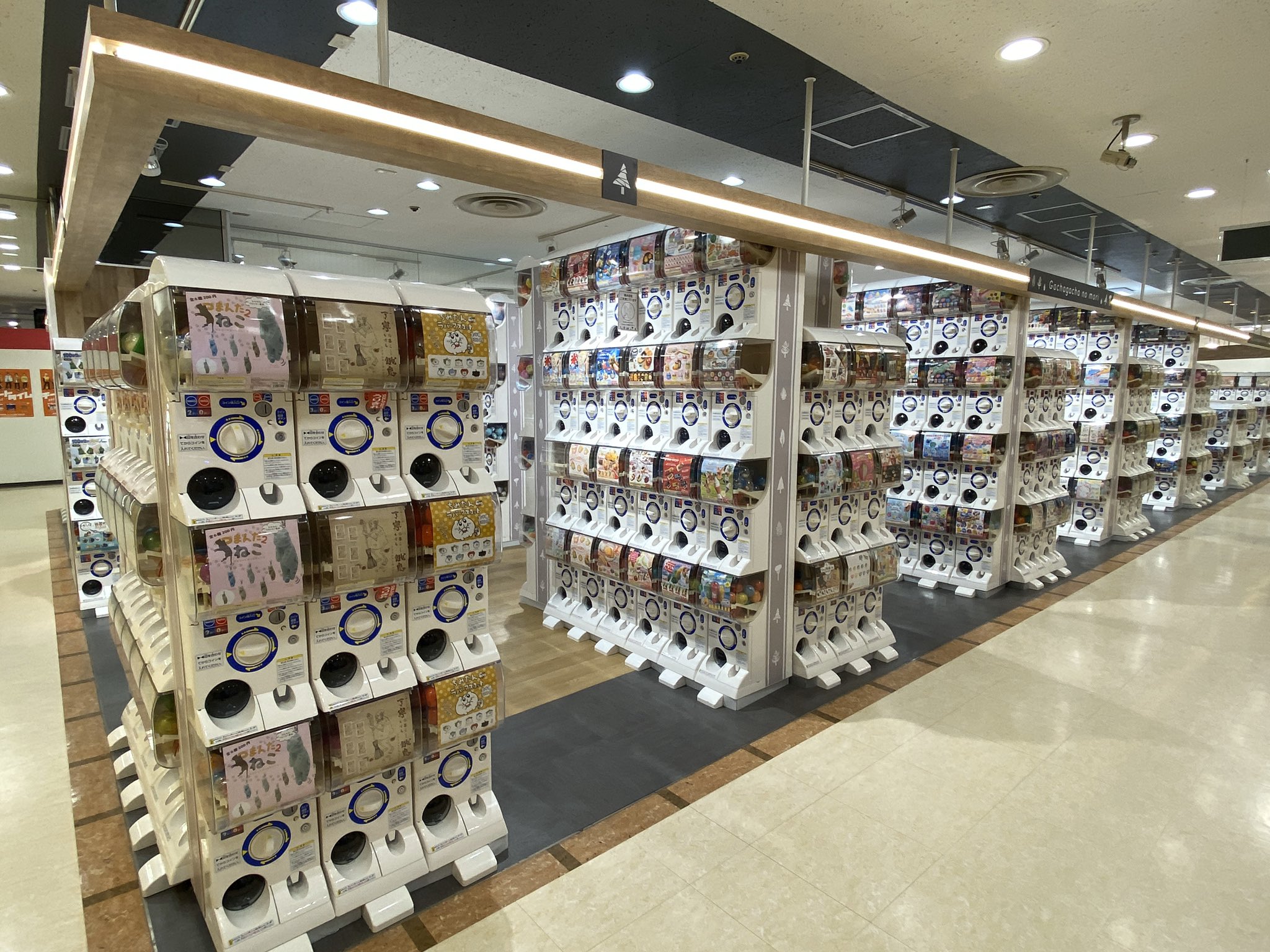 池袋のサンシャインの中にガチャガチャの森が出来てたよ クッソでかいのでガチャおじさんやおねえさんにおすすめです 話題の画像がわかるサイト