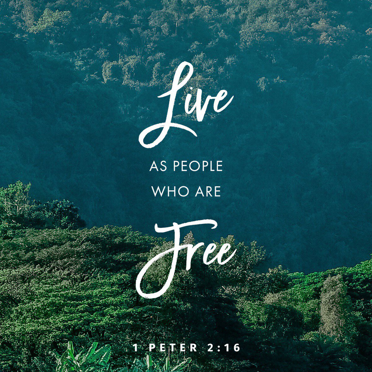 Evangel World Prayer Center tweet media
