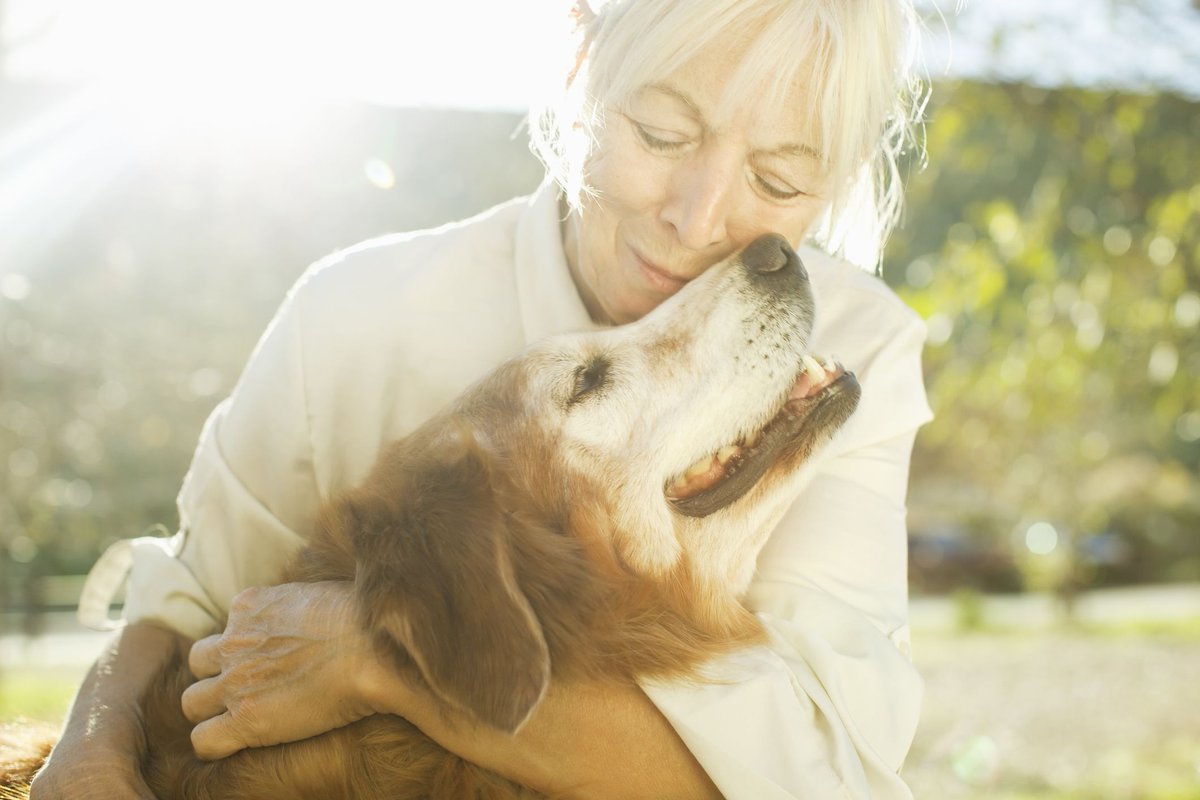 We've had lots of questions about hygiene and pets in light of the #coronavirus pandemic. You can read a article about  Pets and hygiene tips for humans by a PetBond vet at petbond.ie/pets-and-hygie… #COVIDー19 #petsAtHome Please share.