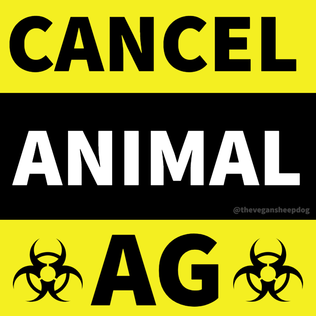 VeganSheepdog's tweet photo. It's beyond time to CANCEL ANIMAL AGRICULTURE! If you agree, tap the heart, and share with your friends and family! 

#cancelanimalag #animal #stopeatinganimals #animalrights #animalrecovery #veganforanimals #vegan #compassion #peace #love #plantet #animals https://t.co/I43vDj6w9S