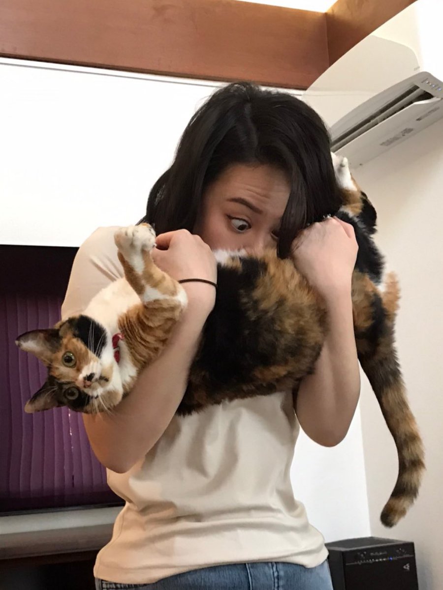 Twitter 上的 元鈴木さん Yurieadachi 猫のお腹はお菓子の匂いがしますよね Twitter Twitter 上的 元鈴木さん Yurieadachi 猫のお腹はお菓子の匂いがしますよね Twitter