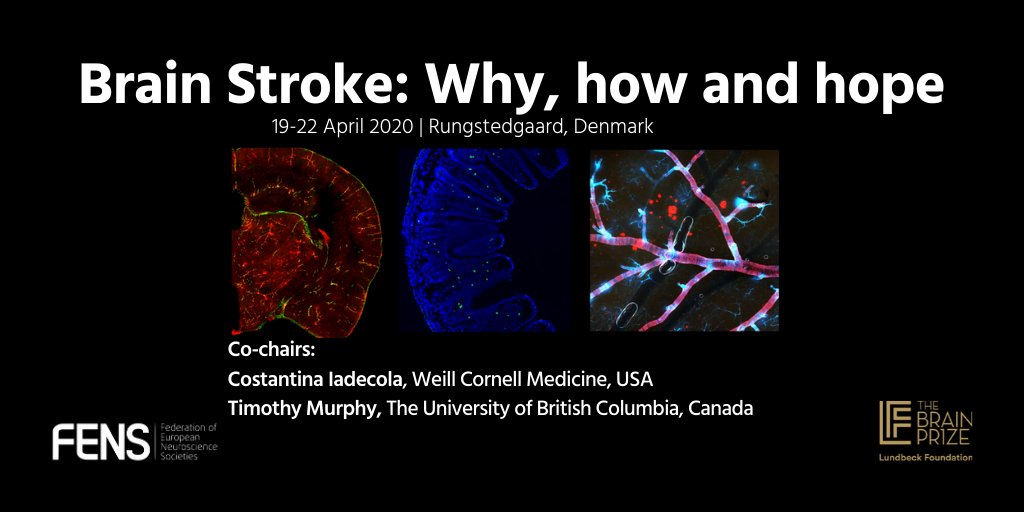 FENSorg's tweet photo. Please note that, due to #COVID19, both #BrainConferences have been postponed:
- "Brain Stroke: why, how and hope" until 11-14 April 2021
- "RNA Mechanisms and Brain Disease" until 18-21 April 2021
More updates about other #FENS activities: https://t.co/5NyiDmm073 https://t.co/LaPFpGFsXA