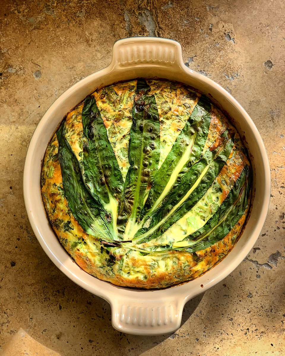 RyanRileyy's tweet photo. Wild garlic and spring green frittata is today’s #lockdine. 

Mix together 8 eggs with a good glug of milk, seasoning and any veg you’ve got (you’ll like this @MelissaHemsley) arrange wild garlic leaves so they look suspiciously illegal, 20 mins in the oven and serve. 🥚 https://t.co/Zov5FFdbas