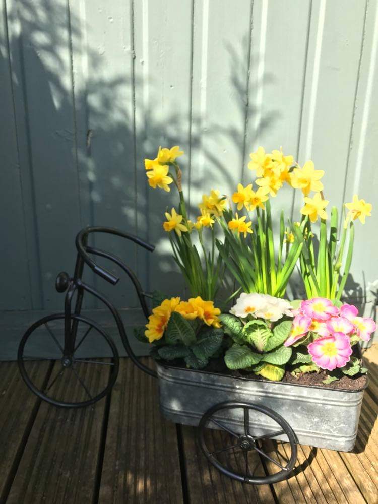 🌸Happy Monday everyone! 🌸

We are going to continue to fill your feed with beautiful things and ideas to do whilst in self quarantine! 

Check out this amazing diy project from one of our customers using our Tin Bicycle! 

Shop our Tin Bicycle here: oasishomeandhobby.co.uk/catalogsearch/…