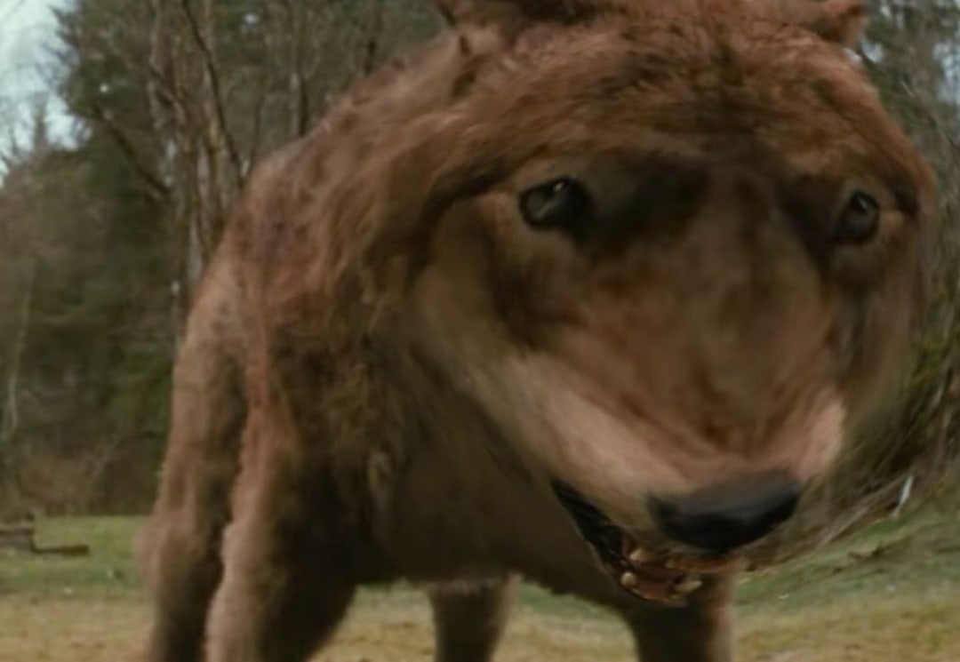 ETymxZiXsAAOQcf.jpg