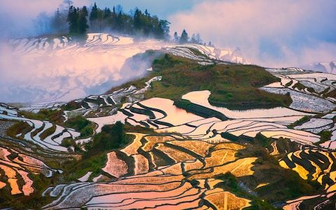 Where to see the world's most beautiful rice terraces buff.ly/39BAUjN