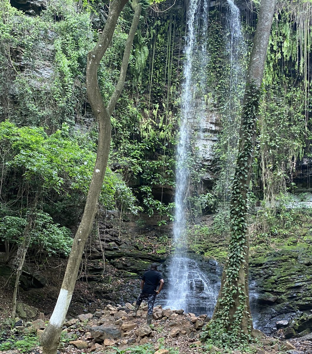 johndumelo's tweet photo. I visited my other farm this morning....plantain, cocoyam, Cassava and nkontomire are all here, including this amazing waterfall nearby. Agriculture is definitely the way to go. #idey4u https://t.co/98Gbi3p2dZ