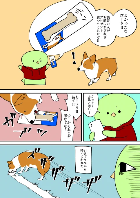 コーギーに新品の骨をあげる 