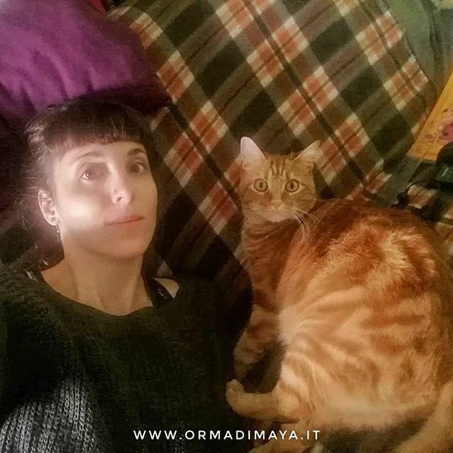 Ciao amici!!!!
Come procede la vostra permanenza a casa? 
Qui Ale e Yoshi ne approfittano per delle sane coccole sul divano!!! Avete voglia di mandarci qualche foto insieme ai vostri adorati animali? ☺️❤️ #dogsittertorino #dogsitter #dogwalker #dogwalker… ift.tt/3dpeeFG