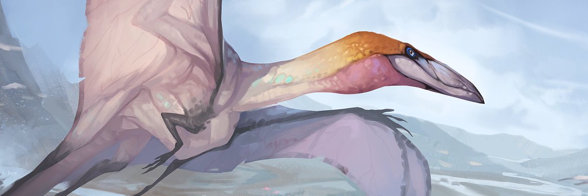 Creatures in entertainment are ubiquitous, but as movies and television becomes higher quality with more fidelity, have creatures become too specialized for artists to portray?

songhorn.com/blog/the-futur…

#creaturedesign #conceptart