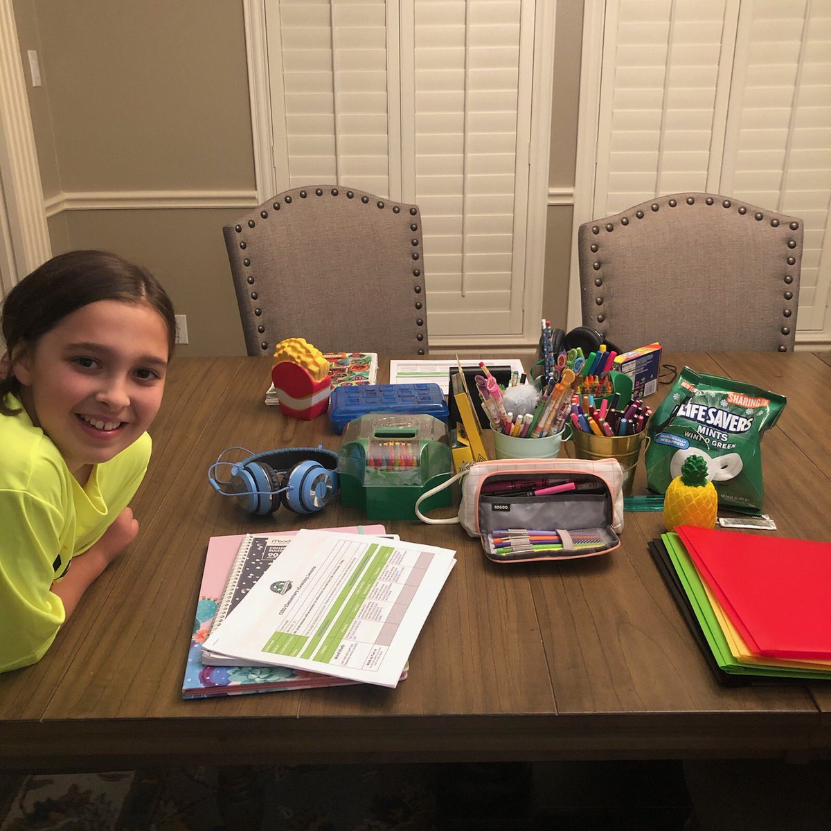 MrsLHartman's tweet photo. @WGESdragons My sweet Aubrey is all ready for today’s adventure in online learning. #CampCarroll at home https://t.co/2PAH8sxdBu
