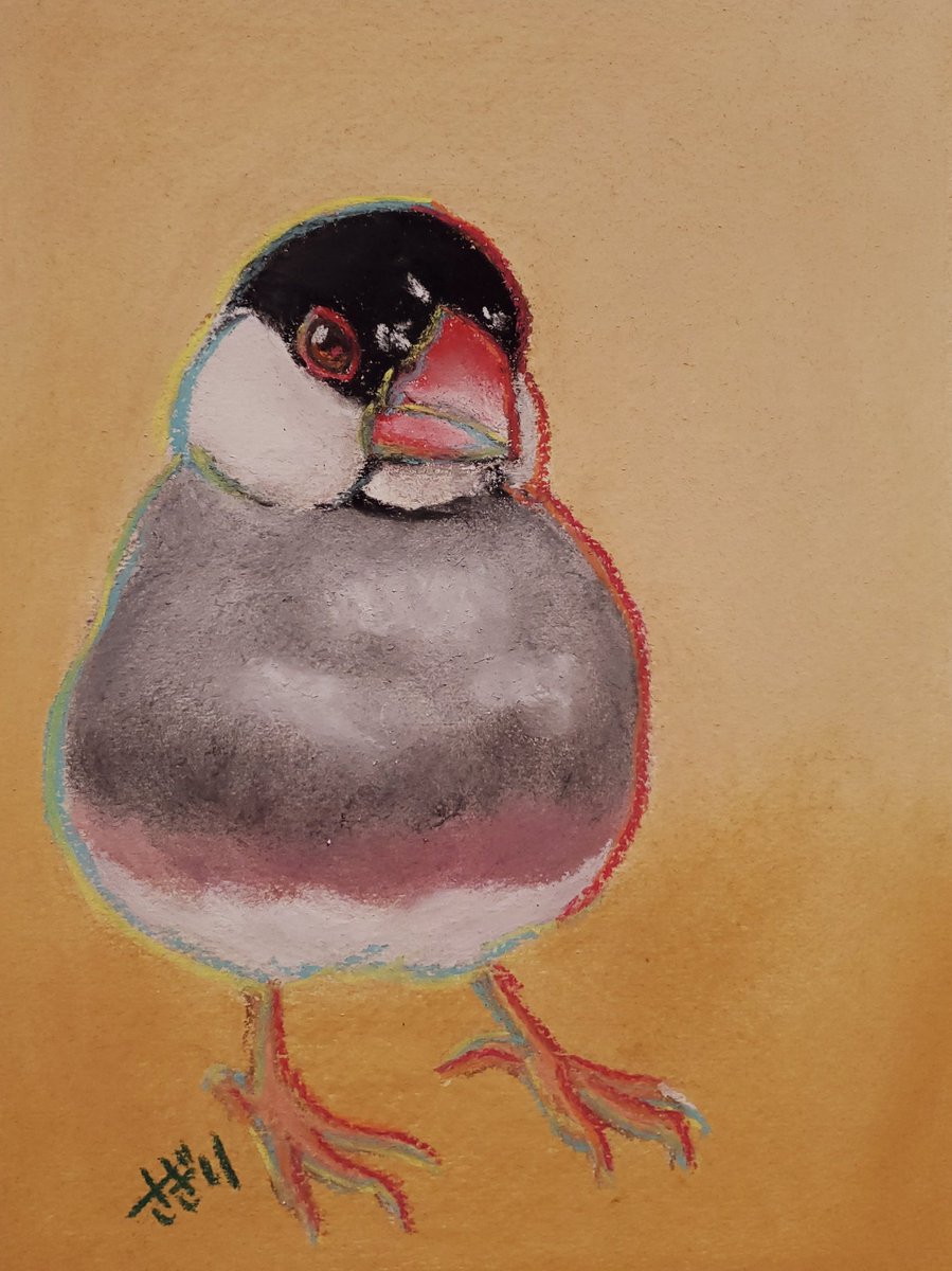 さぎり 抱っこして 文鳥 小鳥 イラスト 可愛い かわいい ことり好き 癒し 鳥グッズ Illust Bird Cute Healing Javasparrow