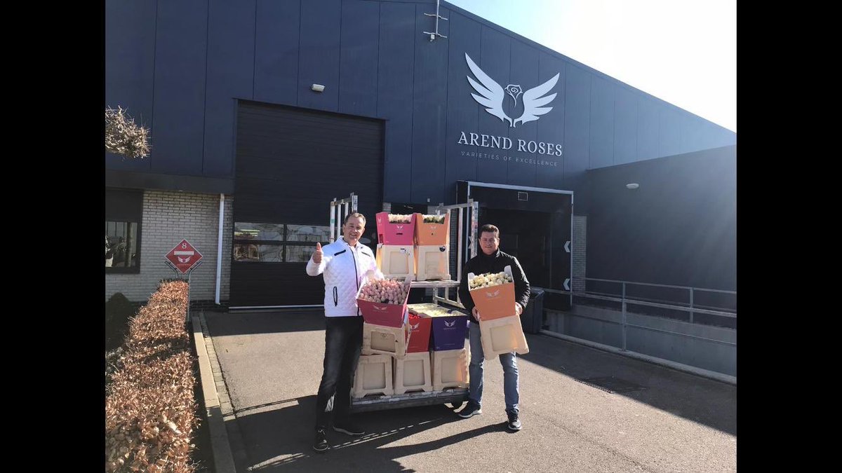iperen_nl's tweet image. Ook de bewoners en medewerkers van Maasheim in Puttershoek een hart onder de riem kunnen steken met mooie rozen van @ArendRoses. Wij dagen @djcornelisse van Nufarm,  Marco Molenaar van @HaifaGlastuinb en Harm Vogels van   @intracare1 uit mee te doen met de #flowerboostchallenge