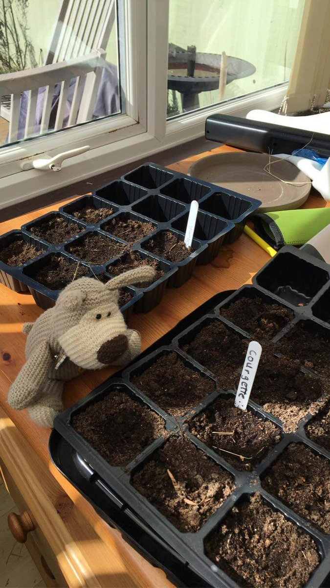 ATeambeach's tweet photo. Nobody told Al that watched seeds don't grow any quicker! #growyourown #coronavirus #mentalwellbeing #dementiaawareness #thegoodlife https://t.co/mGCQ9Ti3mN