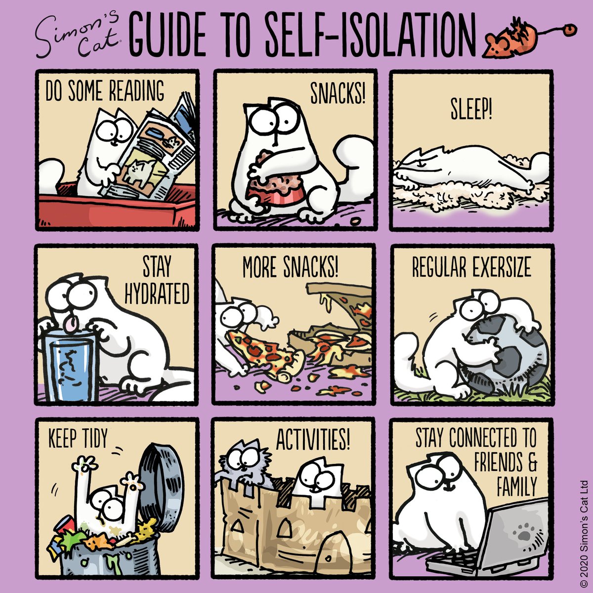 Image result for simons cat guide to self isolation