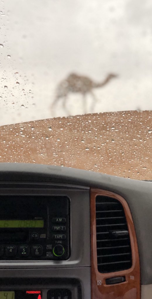 في سحابه على متن التمني
شفت عمري خيال في سحابه

#منخفض_الرحمة #اخدود_الرحمه