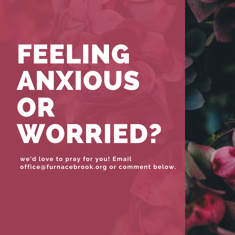 Furnace Brook tweet media