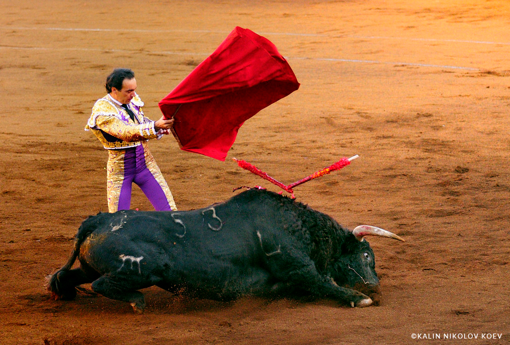 🇪🇸🐂 In these hard times, <a href="/culturagob/">Ministerio de Cultura</a>/<a href="/jmrdezuribes/">José Manuel Rodríguez Uribes</a> is directing aid to the cruel and antiquated practice of bullfighting, instead of prioritizing the welfare of animals impacted by #COVID19. 👎🏼

It doesn't have to be this way! 😠

Read more ➡️bit.ly/33DlV6J #COVIDー19