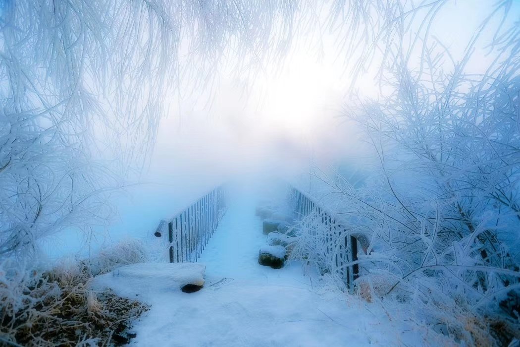 看文学小说时候经常有现世报的打脸例子，今年疫情刚开始的时候推特上狂欢的汉奸不在少数，那嘴脸恶臭以及。为国民服务不在于政权形式，在于重不重视人命。美国这种财阀型的政府，大选年白痴总统会把选票看得比其他都重要，什么不要脸的做法只要选票提高就要，所以本届特朗普政府干出的这些事儿很正常。