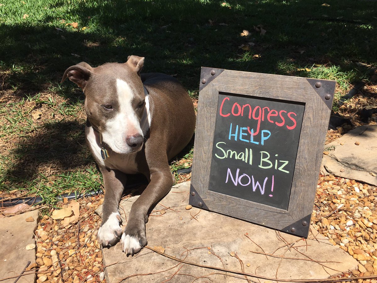 Laura_Biller's tweet photo. Small businesses are the backbone of our country & weave the fabric of our communities. Small biz needs our lawmakers to work for them now more than ever.
#HelpSmallBizChallenge
#DontLetSmallBizDie
#CongressHelpSmallBiz
@GovRonDeSantis @marcorubio @SenRickScott @RepTedDeutch https://t.co/WM80Sr7P4m