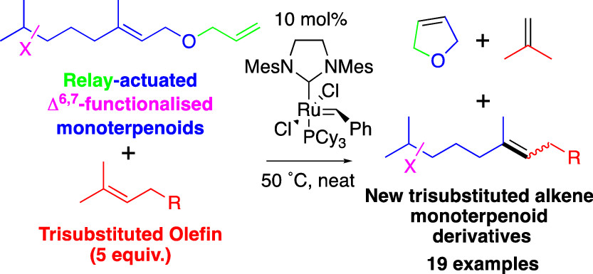 JOC_OL's tweet photo. Check out the latest from @kimmybahou &amp; Braddock group at @impchemistry w/CSIRO on making trisubstituted olefins by metathesis, with some polyene cyclization to cap it off, forming an enantiomerically pure, trans-fused, podocarpane-type tricycle, in #JOC: https://t.co/C3IfuAsB8t https://t.co/GspDwEN1fc