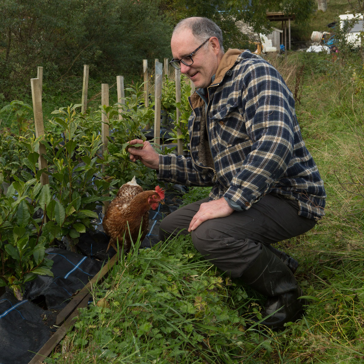 Mike Hyatt, woodland crofter, tea grower and chicken fosterer, Baleveolan Croft, Isle of Lismore, Scotland #WeAreHighlands&Islands  #TheHillsAreAlwaysHere