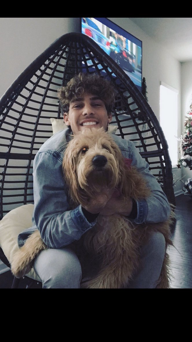 Pitt_MSOC's tweet image. Twitter, meet Tyrone, Poppy and Hope 🐶

@JacksonWalti 
@louisspicer13 
@AnthHarding 

#NationalPuppyDay | #H2P