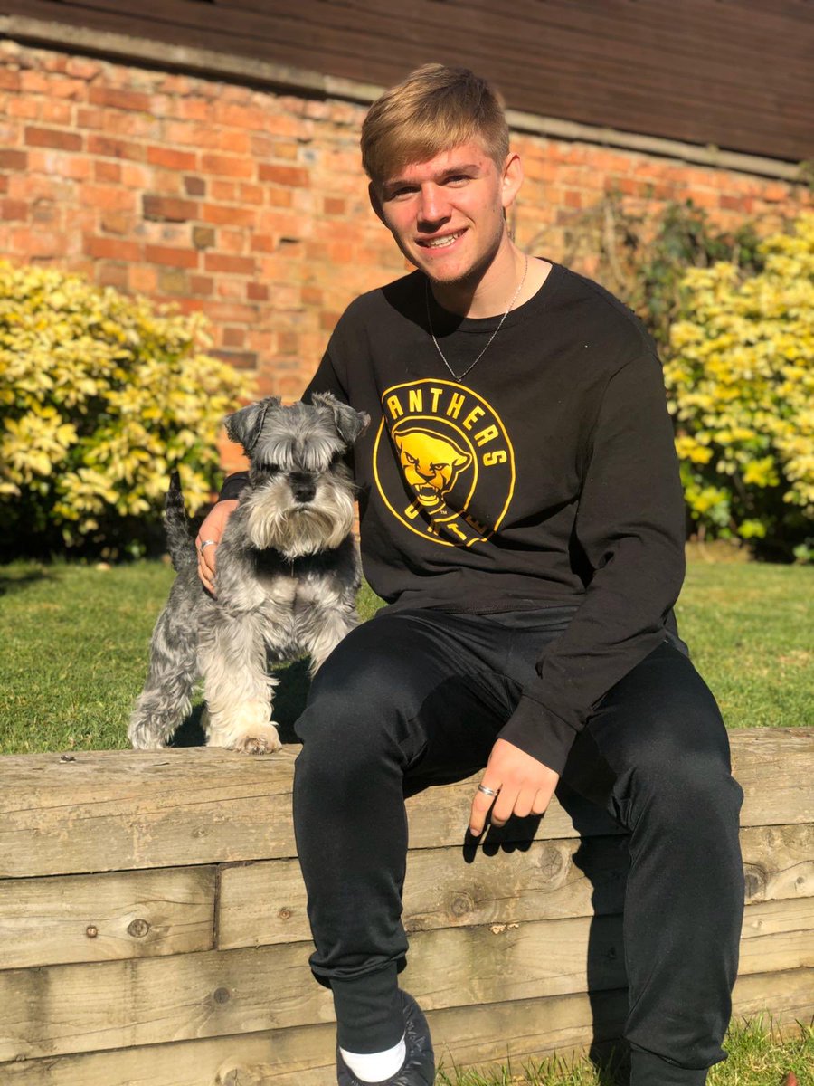 Pitt_MSOC's tweet image. Twitter, meet Tyrone, Poppy and Hope 🐶

@JacksonWalti 
@louisspicer13 
@AnthHarding 

#NationalPuppyDay | #H2P