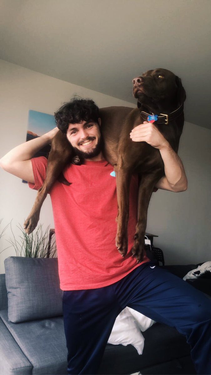 Pitt_MSOC's tweet image. Twitter, meet Tyrone, Poppy and Hope 🐶

@JacksonWalti 
@louisspicer13 
@AnthHarding 

#NationalPuppyDay | #H2P