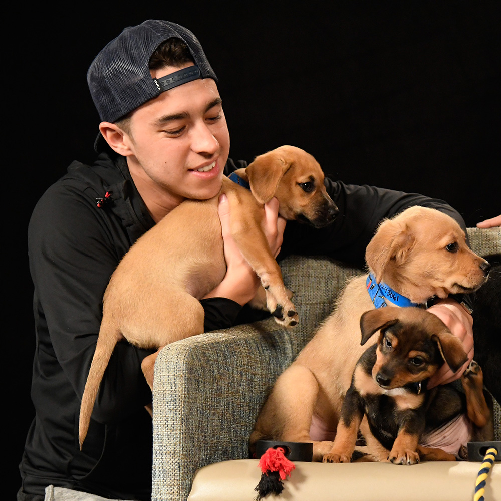 NHLFlames's tweet photo. No such thing as too much #NationalPuppyDay content 😍 https://t.co/d4yghI1LYj