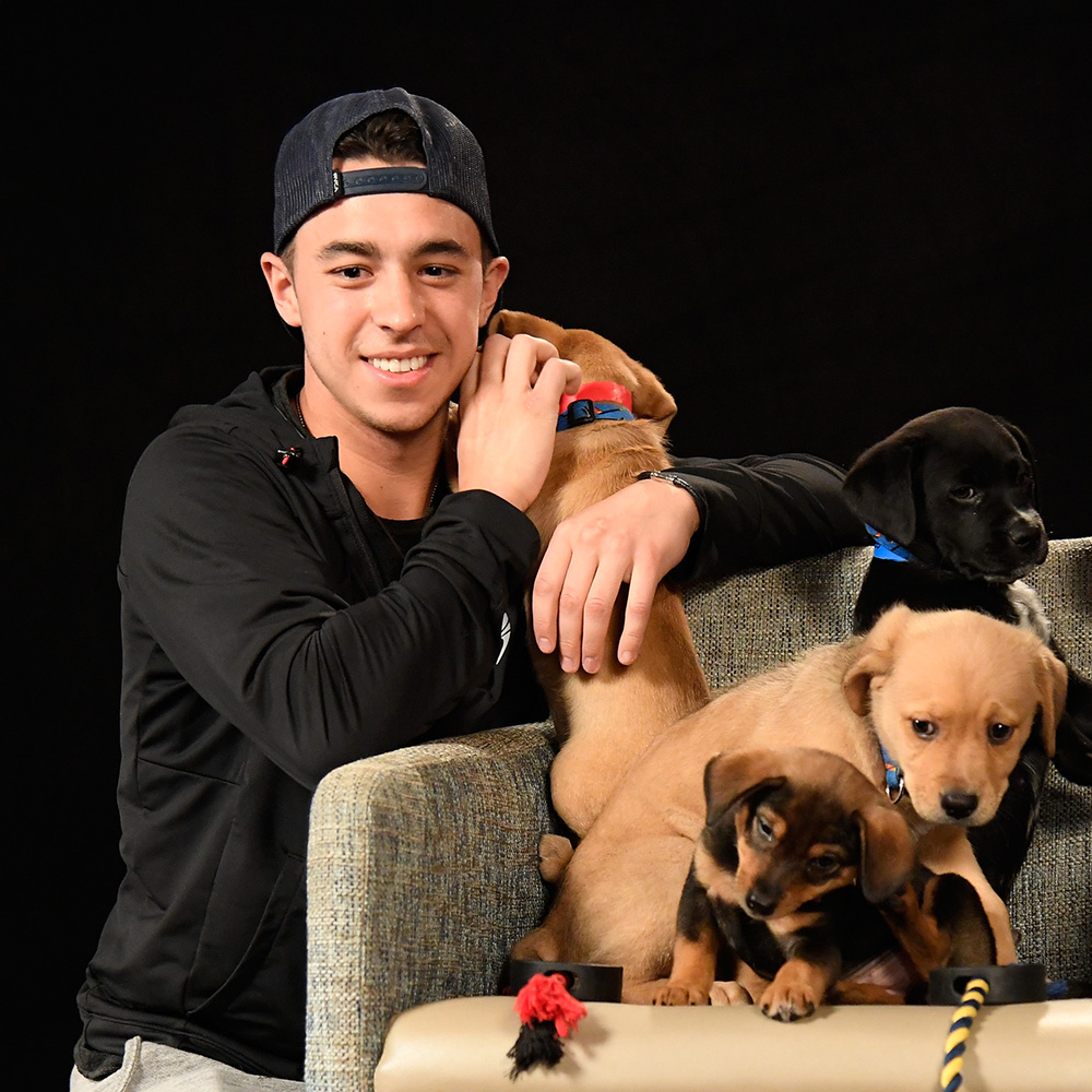 NHLFlames's tweet photo. No such thing as too much #NationalPuppyDay content 😍 https://t.co/d4yghI1LYj