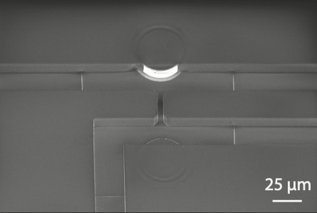 Carlotta Guiducci tweet media