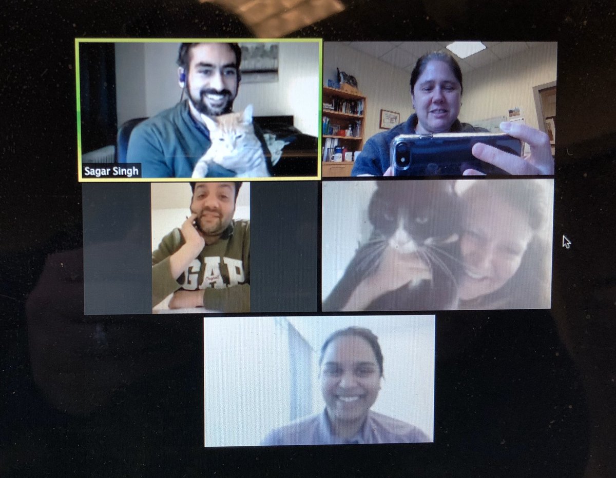BWinkelstein SPRL (@winkelsteinlab) on Twitter photo Some special guests - Lux & Tonks - on a <a href="/WinkelsteinLab/">BWinkelstein SPRL</a> group call today. Great to talk science & welcome <a href="/meagan_el/">Meagan Ita</a> <a href="/sagarsingh_phd/">Sagar Singh</a> pets. Some special guests - Lux & Tonks - on a <a href="/WinkelsteinLab/">BWinkelstein SPRL</a> group call today. Great to talk science & welcome <a href="/meagan_el/">Meagan Ita</a> <a href="/sagarsingh_phd/">Sagar Singh</a> pets.