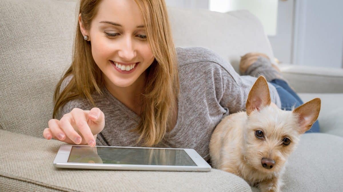 TyketApp's tweet photo. Let's lighten things up a bit - it's #NationalPuppyDay! With so many apps out there, which pet app should you get? We’re here to help. We’ve combined through the choices to tell you about our hands-down favorite dog apps.
Enjoy!
https://t.co/Ti8Oj6K9xk
#tyketapp #apps2020 https://t.co/jAv5SUZs2P