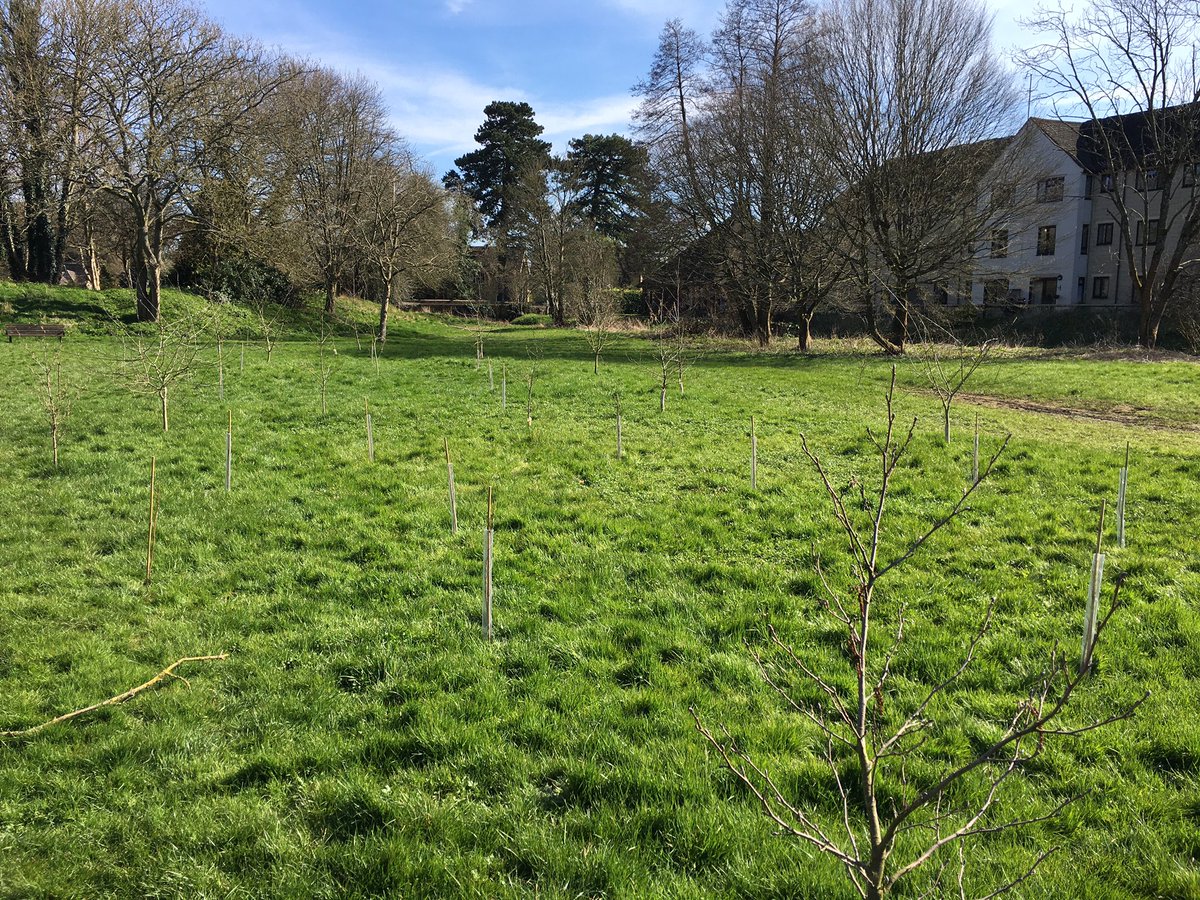 DanGeerah's tweet photo. Although volunteer groups being put on hold until further notice, we still have contracts to deliver! 
Today in the sun we managed to plant 25 trees in Cirencester and scatter a bag of wildflower seed as part of #wildtowns #ERDF #GFirstLEP @CirenTC #ClimateAction @FWAGSouthWest https://t.co/7IrV9sj3VY