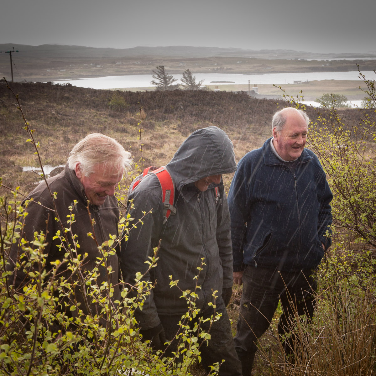 Crofters Peter MacCaskill & Iain Nicolson with Kevin Sutton inspecting their croft woodlands during a wee shower on Roag Common Grazings, Nr Dunvegan, Isle of Skye.  #WeAreHighlandsAndIslands  #TheHillsAreAlwaysHere