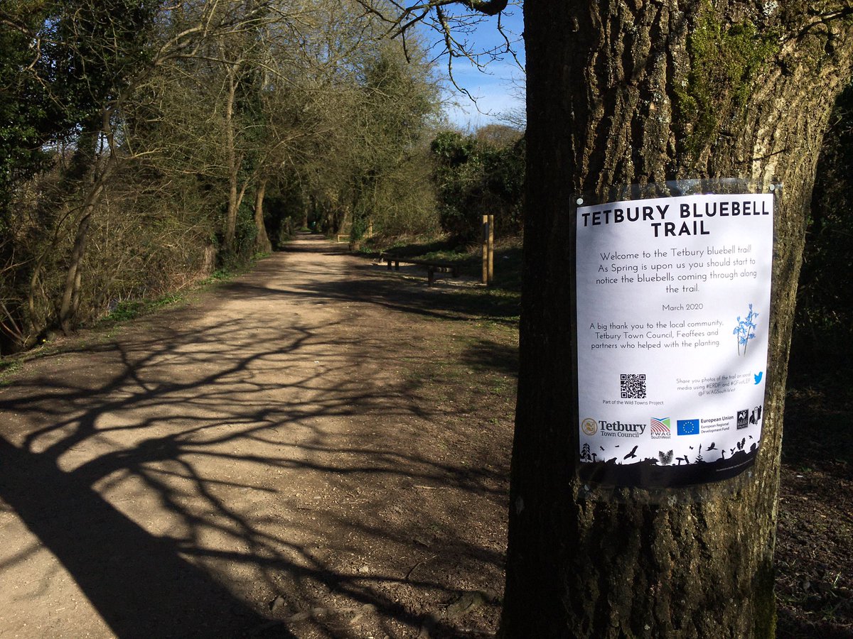 DanGeerah's tweet photo. I popped down to see how the Bluebell Trail is getting on. No flowers yet but certainly some shoots! Excited to see them flourish in coming weeks #ERDF #GFirstLEP #WildTowns @TETBURYVIC @gloswildlife https://t.co/3l06F7eIVW
