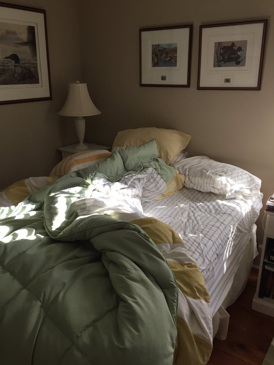 GSWoodward's tweet photo. Didn’t make my bed on Sunday until 4pm but today I’m back on track.
#MakeYourDamnBed https://t.co/6buVZUD65G